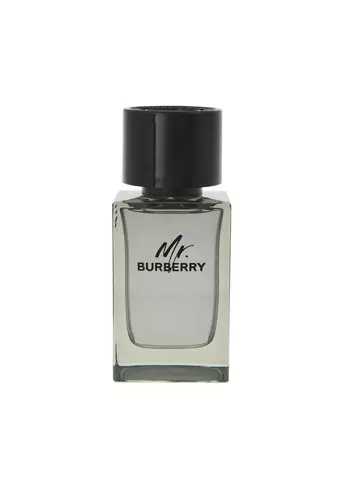 Burberry Mr. Burberry Edt 100ml by Burberry