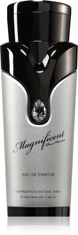 Armaf Magnificent Pour Homme Edp 100ml by Armaf