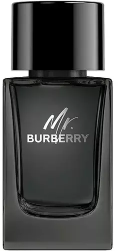 Burberry Mr. Burberry Edp 100ml by Burberry